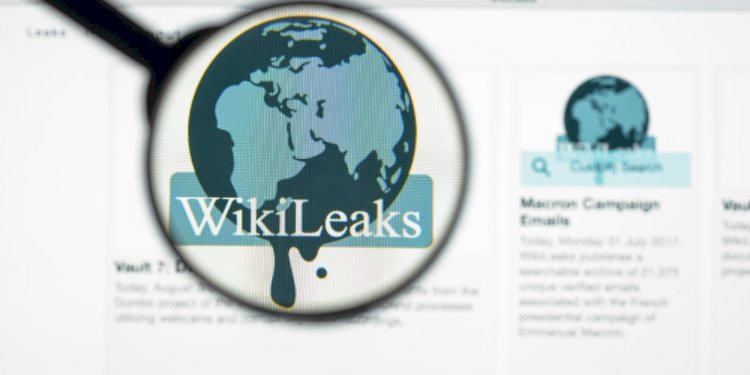 WikiLeaks | ვიკილიქსი